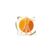 Physiotherapeut*in (m/w/d) Vollzeit oder Teilzeit Physiotherapeut*in (m/w/d) Vollzeit oder Teilzeit