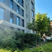 Logo für den Job Immobilienkaufmann/frau (m/w/d)