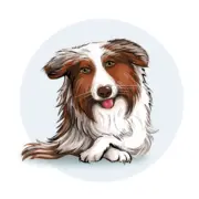 Ergotherapeut (m/w/d/) 3500 € - 4500 €